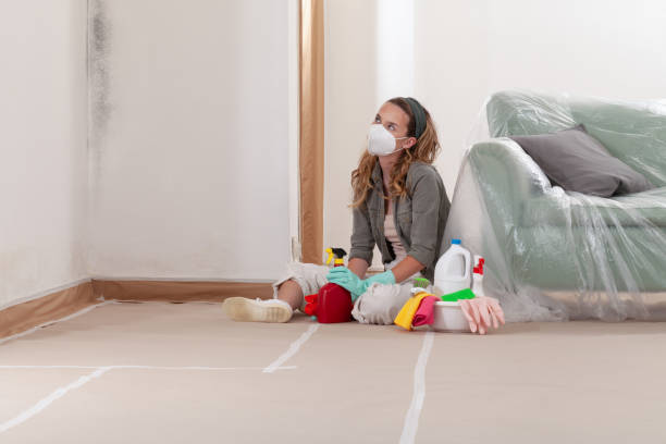 Trusted Crawl Space Mold Removal service in Richwood, NJ - WQB Mold Removal