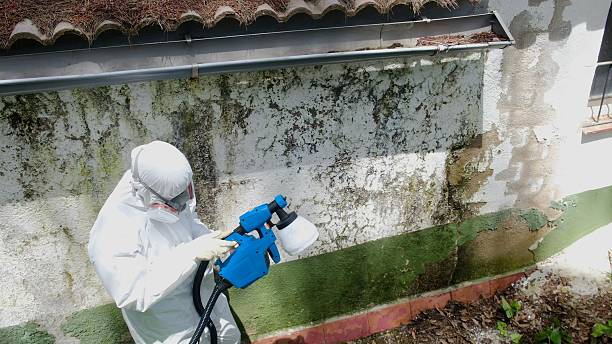 Top rated local Crawl Space Mold Removal specialists in Richwood, NJ
